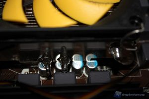 Reeven Vanxie37